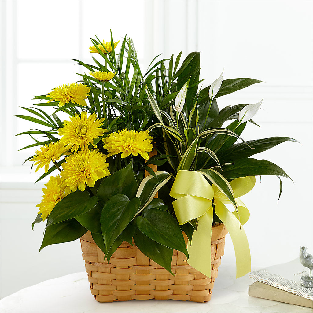 Loving Light Dishgarden – La Petite Florist And Gifts, Brea CA