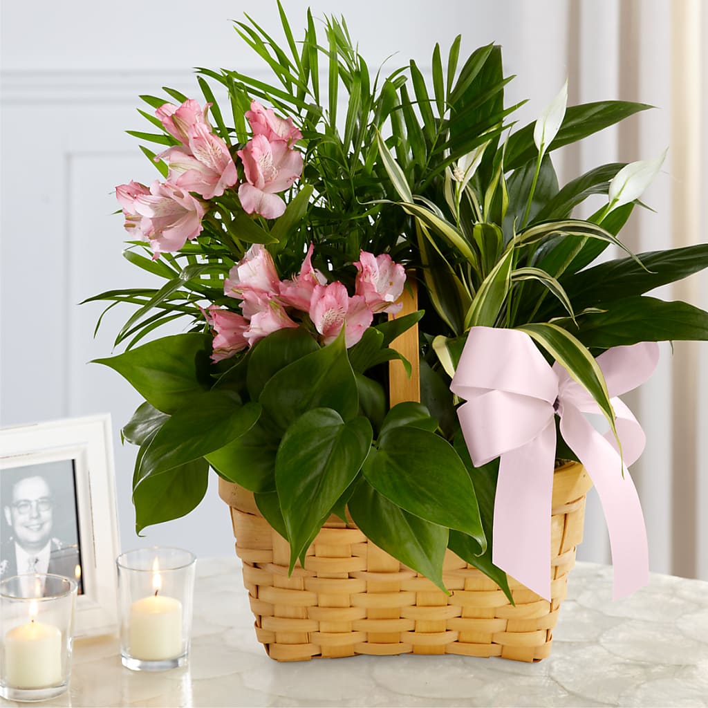 Living Spirit Dishgarden – La Petite Florist And Gifts, Brea CA