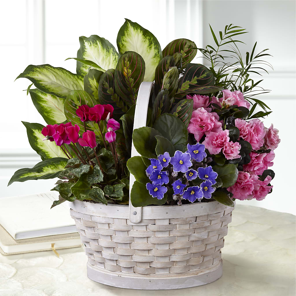 Peaceful Garden Planter – La Petite Florist And Gifts, Brea CA