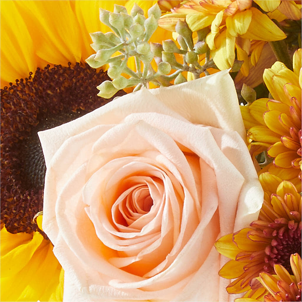 Pumpkin to Talk About Bouquet –  La Petite Florist And Gifts, Brea CA