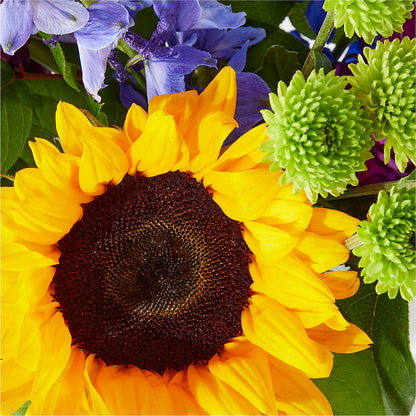 Catching Rays Bouquet –  La Petite Florist And Gifts, Brea CA