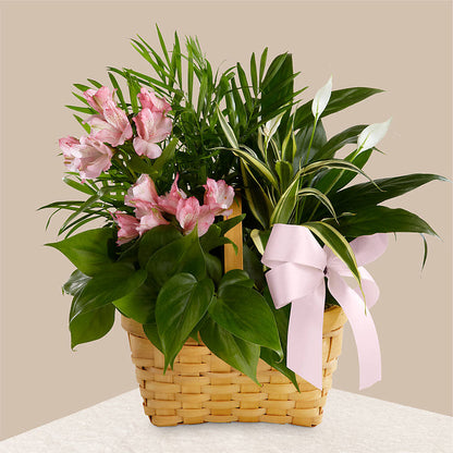 Living Spirit Dishgarden –  La Petite Florist And Gifts, Brea CA