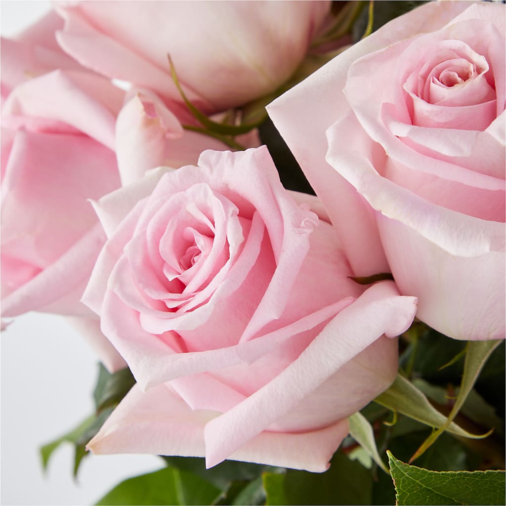 Picture Perfect Pink Rose Bouquet –  La Petite Florist And Gifts, Brea CA