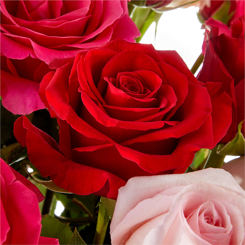 Love Notes Rose Bouquet –  La Petite Florist And Gifts, Brea CA