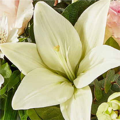 Ballet Slippers Bouquet –  La Petite Florist And Gifts, Brea CA